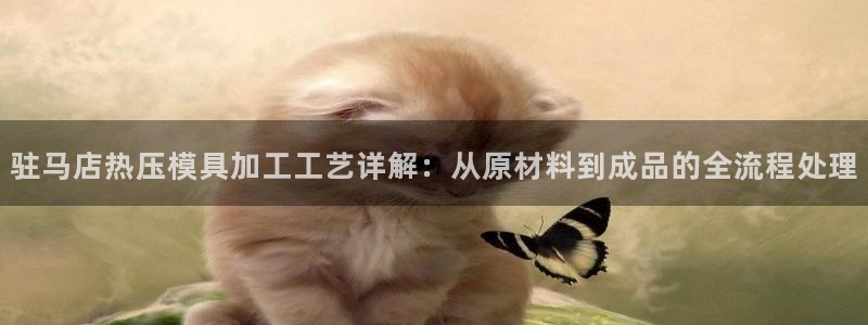 易倍网络技术有限公司是干嘛的：驻马店热压模具加工工艺详解