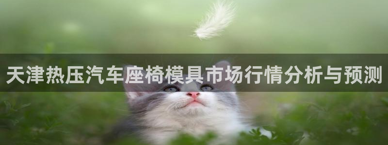 易倍申怎么样:天津热压汽车座椅模具市场行情分析与预测