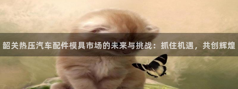 emc软件下载:韶关热压汽车配件模具市场的未来与挑战:抓