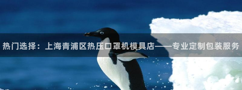 易倍网络技术有限公司怎么样：热门选择：上海青浦区热压口罩