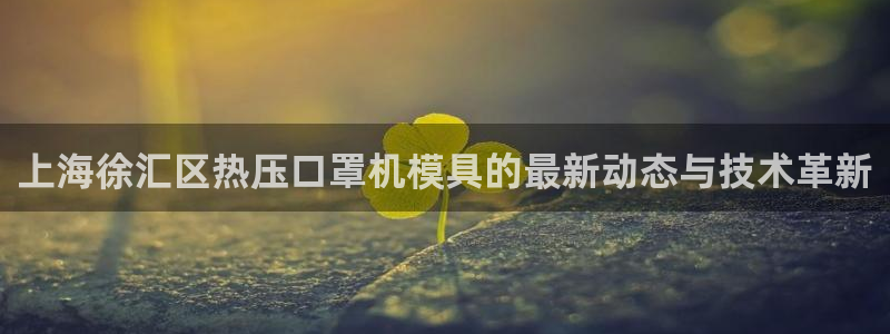 易倍纤代餐奶昔减肥效果怎么样：上海徐汇区热压口罩机模具的