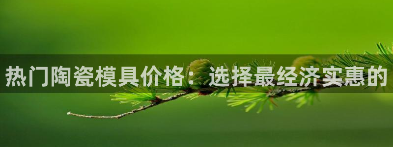 emc mcu：热门陶瓷模具价格：选择最经济实惠的