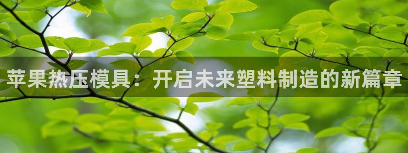 emc倍频：苹果热压模具：开启未来塑料制造的新篇章