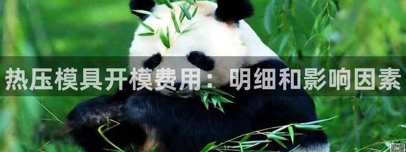 易倍申竞品：热压模具开模费用：明细和影响因素
