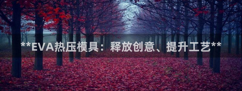 易倍电竞：**EVA热压模具：释放创意、提升工艺**