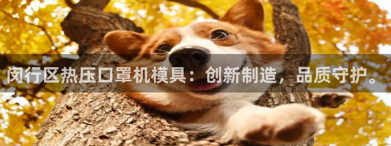 易倍单词app下载：闵行区热压口罩机模具：创新制造，品质