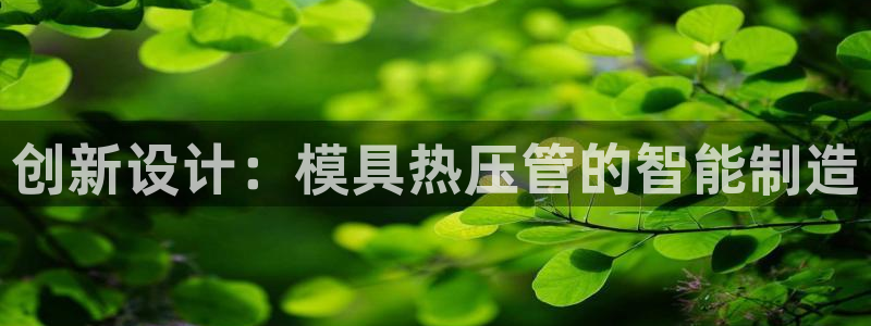 emc易倍下载：创新设计：模具热压管的智能制造