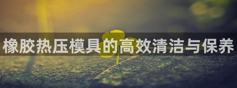 易倍企业管理软件怎么样：橡胶热压模具的高效清洁与保养