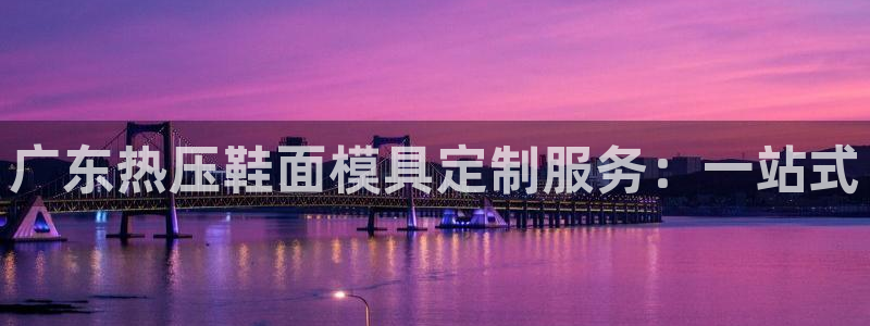 易倍申片说明书：广东热压鞋面模具定制服务：一站式