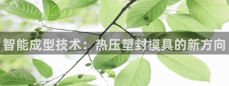emc易倍官网:智能成型技术:热压塑封模具的新方向