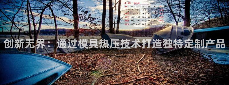 易倍申每盒价格是多少?：创新无界：通过模具热压技术打造独