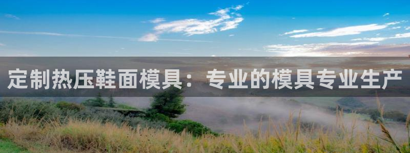 易倍申怎么样：定制热压鞋面模具：专业的模具专业生产