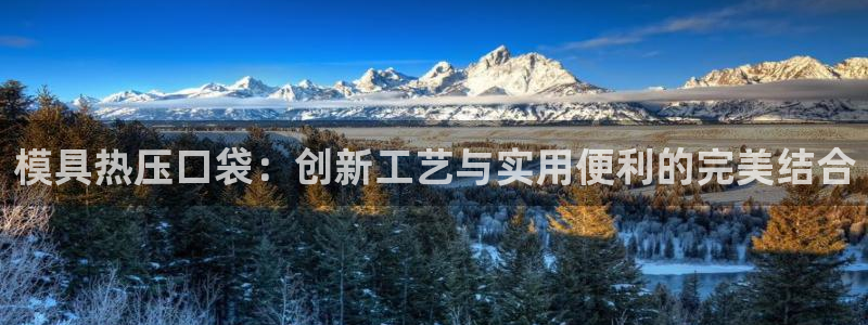 emc 倍频:模具热压口袋:创新工艺与实用便利的完美结合