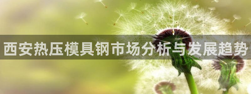 易倍app官网下载：西安热压模具钢市场分析与发展趋势