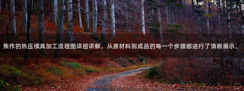 emc易倍官网app下载：焦作的热压模具加工流程图详细讲