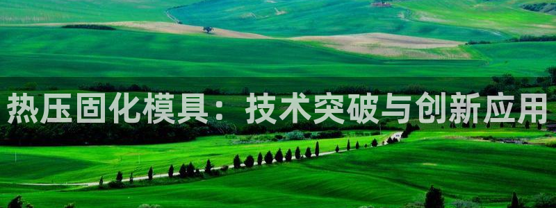 emc易倍全站官网:热压固化模具:技术突破与创新应用