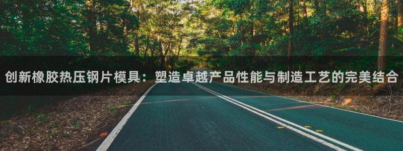 易倍电竞：创新橡胶热压钢片模具：塑造卓越产品性能与制造工
