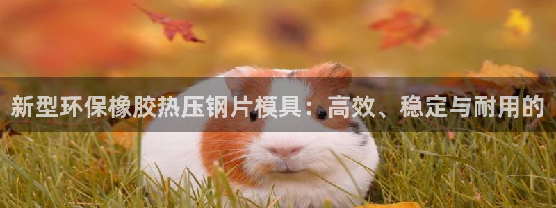 emcapp下载普通下载:新型环保橡胶热压钢片模具:高效