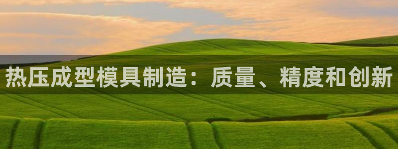 易倍网络技术有限公司怎么样:热压成型模具制造:质量、精度