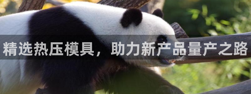 易倍纤奶昔减肥效果怎么样