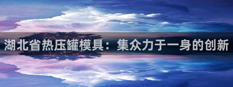上海易倍投资有限公司：湖北省热压罐模具：集众力于一身的创
