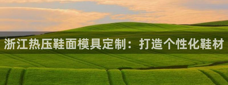 emc倍频超了：浙江热压鞋面模具定制：打造个性化鞋材