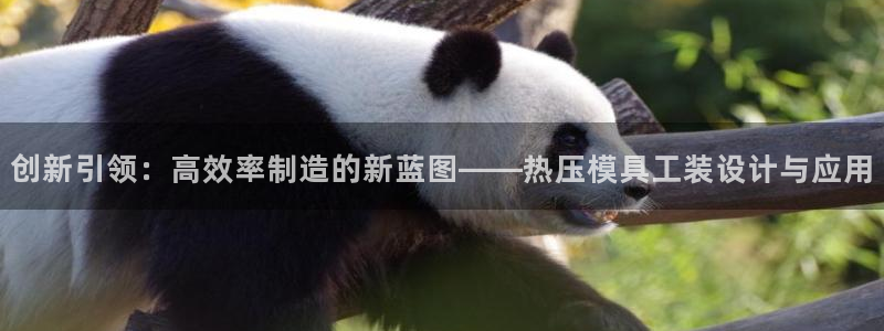 易倍申在中国成功上市：创新引领：高效率制造的新蓝图——热