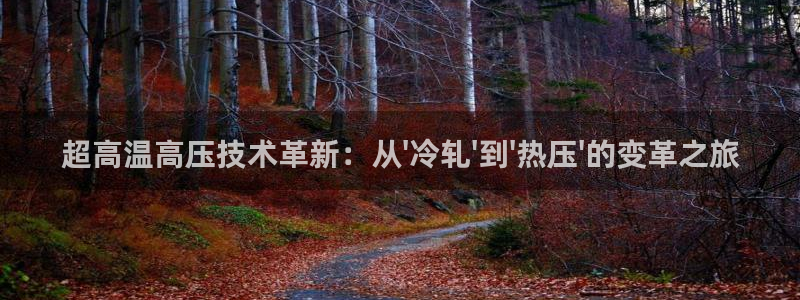 杭州易倍达：超高温高压技术革新：从\