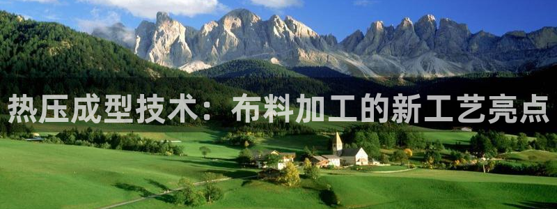 易倍企业管理软件:热压成型技术:布料加工的新工艺亮点