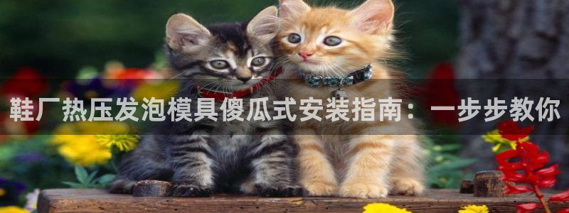 易倍思机电制造(上海)有限公司：鞋厂热压发泡模具傻瓜式安