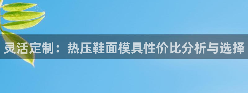 易倍申医保报销:灵活定制:热压鞋面模具性价比分析与选择