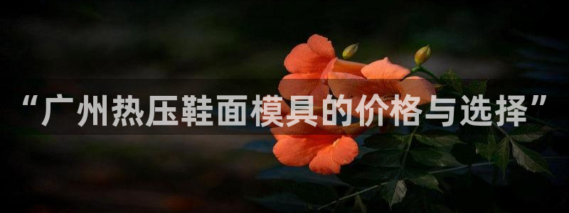 易倍纤谷物粉效果好吗