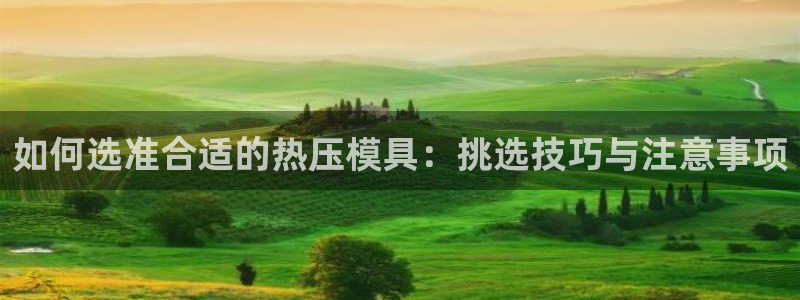 易倍电竞,有球必应