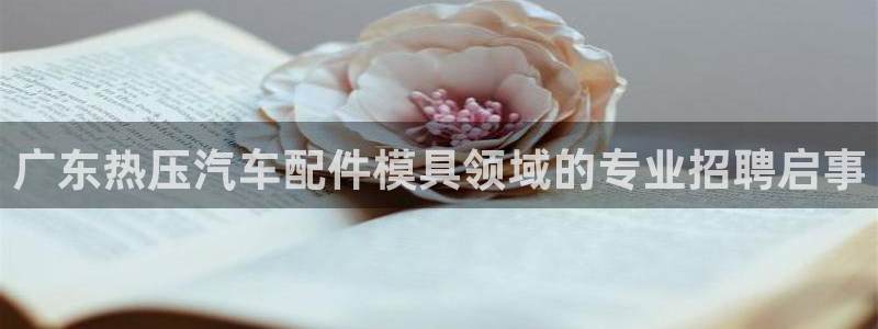 易倍思怎么样：广东热压汽车配件模具领域的专业招聘启事