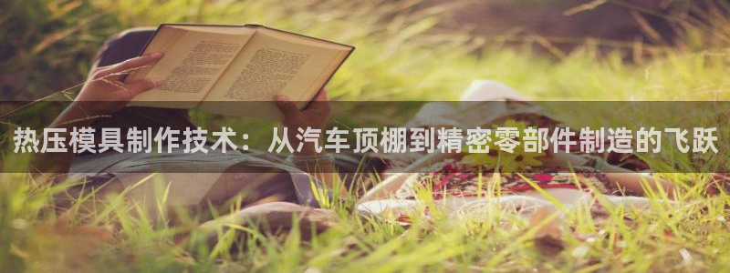 emc易倍是黑台子吗：热压模具制作技术：从汽车顶棚到精密