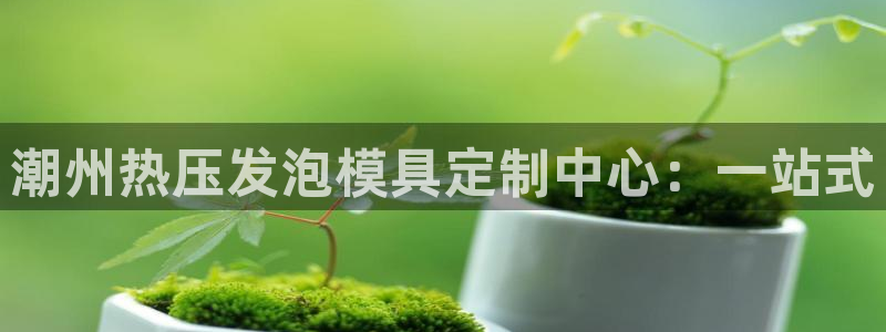 emc高频比低频好改：潮州热压发泡模具定制中心：一站式