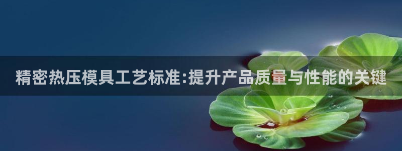 易倍申价格：精密热压模具工艺标准:提升产品质量与性能的关