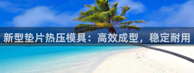 易倍单词官方网站登录:新型垫片热压模具:高效成型,稳定耐