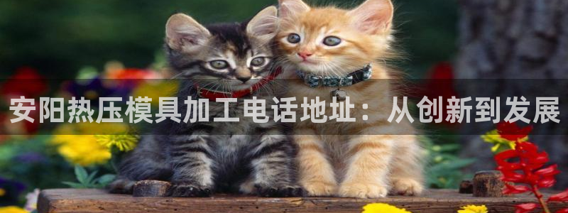 易倍达科技有限公司招聘