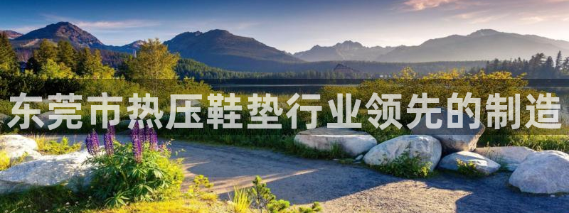 易倍达科技有限公司:东莞市热压鞋垫行业领先的制造