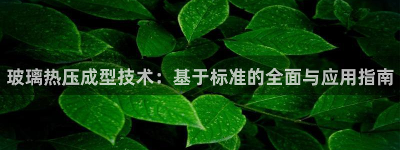 emc易倍官方：玻璃热压成型技术：基于标准的全面与应用指