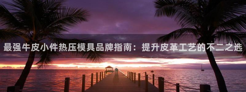南京易倍易电子科技有限公司:最强牛皮小件热压模具品牌指南