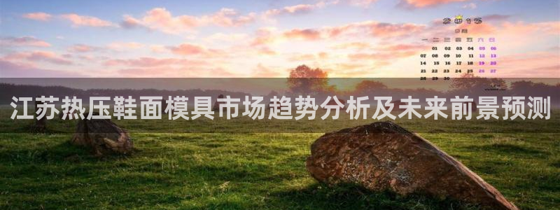 易倍达科技有限公司:江苏热压鞋面模具市场趋势分析及未来前