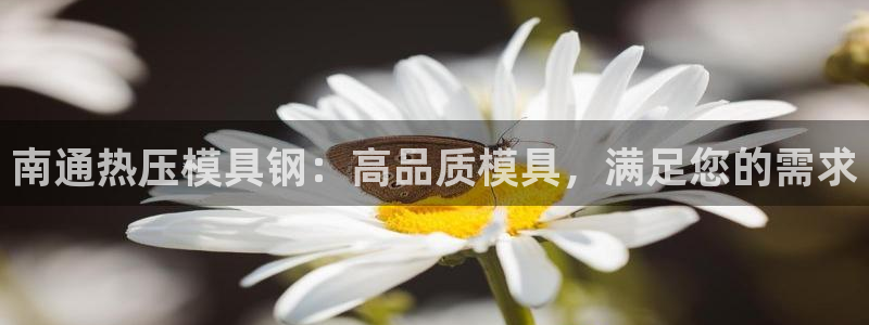 emc易倍的服务优势:南通热压模具钢:高品质模具,满足您