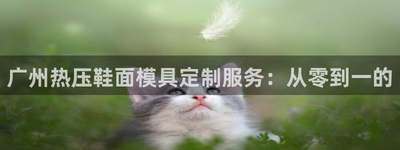 emc易倍官网首页进入:广州热压鞋面模具定制服务:从零到