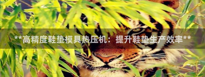 易倍申服用方法:**高精度鞋垫模具热压机:提升鞋垫生产效