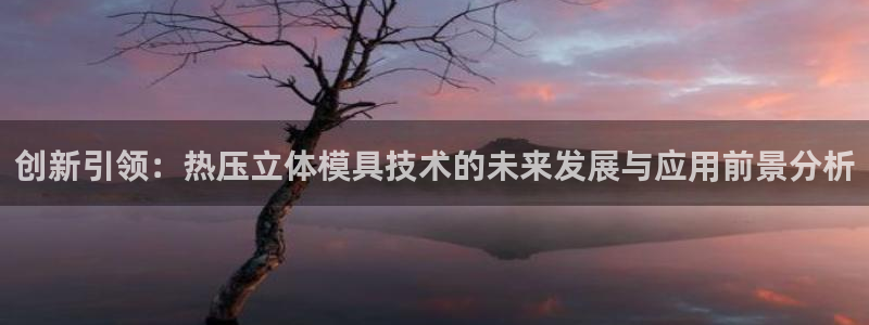 北京易倍思教育科技有限公司:创新引领:热压立体模具技术的