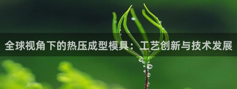 emc平台：全球视角下的热压成型模具：工艺创新与技术发展