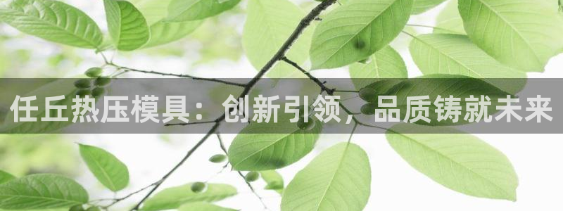 易倍思怎么样:任丘热压模具:创新引领,品质铸就未来