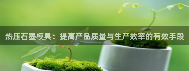 杭州易倍达科技有限公司怎么样:热压石墨模具:提高产品质量
